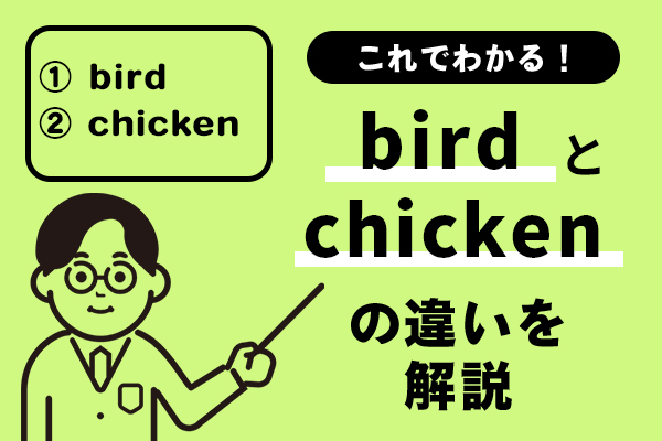 birdとchickenの違いがこれでわかる！例文を踏まえてわかりやすく解説！